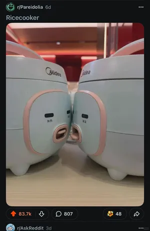 Where can I buy this?