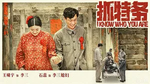 抓特务 4K 5.5GB 百度网盘 25.17GB