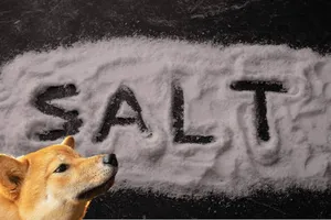 Never give dogs salt, y'all.